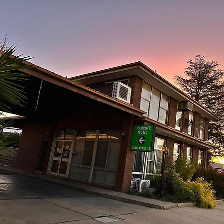 The Shamrock Hotel バルラナルド エクステリア 写真